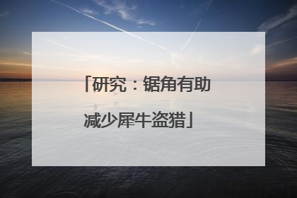 研究：锯角有助减少犀牛盗猎